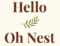 hello oh nest (2)